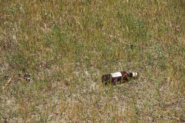 Terk edilmiş eski cam şişe durgun su dükkanlarını açık bıraktı. Potansiyel sivrisinekler üreme alanı.
