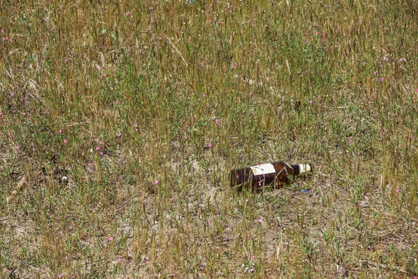 Alte verlassene Glasflasche ließ in offenen Lagern stehendes Wasser zurück. Mögliche Brutstätten für Moskitos. — Stockfoto