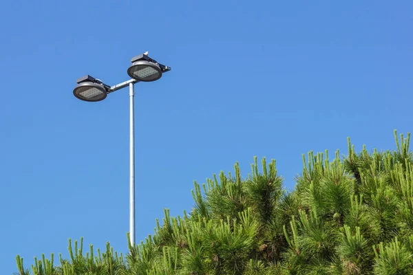 Pólo claro na estrada com céu azul e arbusto verde na parte inferior — Fotografia de Stock