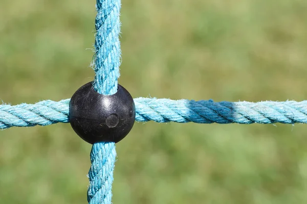 Detail gekreuzter roter Seile in grünem Rücken — Stockfoto