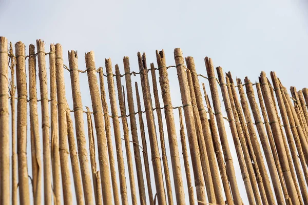 Bambusz kerítés háttere-a strandon — Stock Fotó