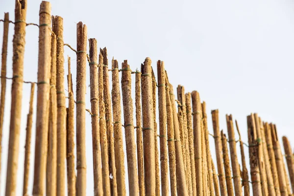 Bambusowy płot tło na plaży — Zdjęcie stockowe