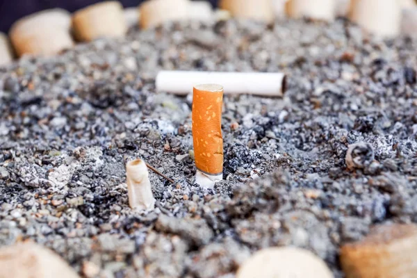 Primer plano Colillas de cigarrillo en el suelo , — Foto de Stock