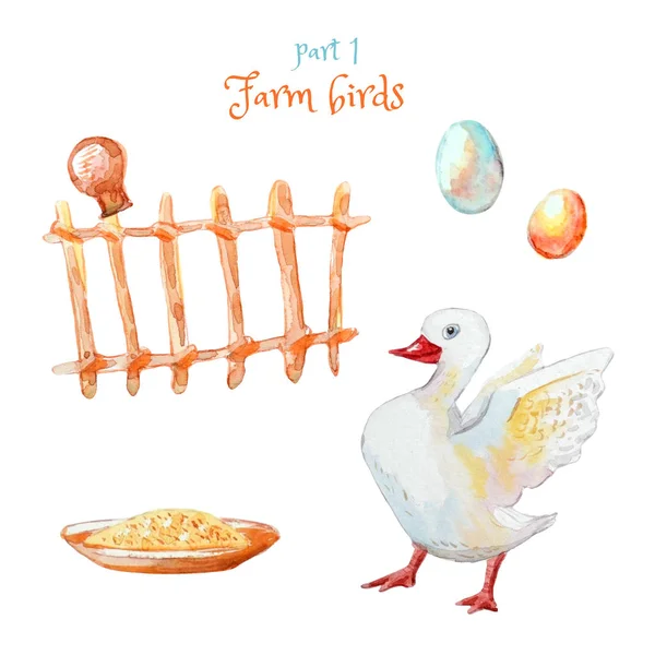 Fjäderfäset: vit gås, blöt, hirs, ägg. Isolerad på whi — Stockfoto