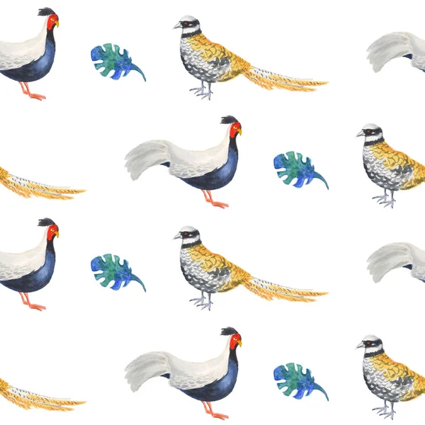 Watercolor Seamless Pattern Sketch Colorful Pheasant Original White Background Decoration — Stock Photo, Image