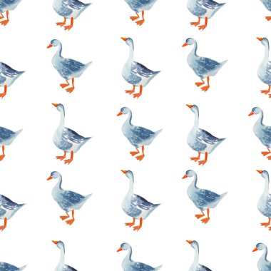 Kümes hayvanları dikişsiz desen: Suluboya çizgi film kazları izole edilmiş 