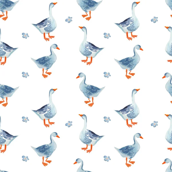 Patrón sin costura de aves de corral: Acuarela ganso de dibujos animados aislados en — Foto de Stock