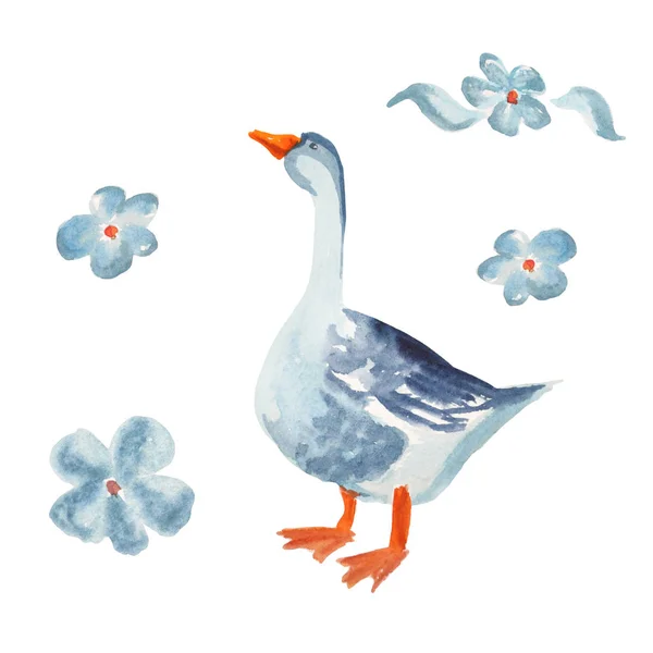 Poultry bird - goose. Isolated on white. Watercolor cartoon illu — Stock Photo, Image