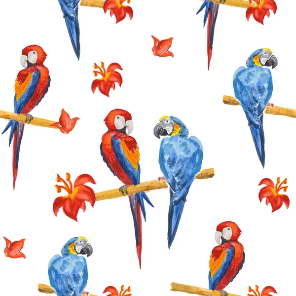 Beautiful exotic bird - macaw parrots. Original seamless pattern — Stock Photo, Image