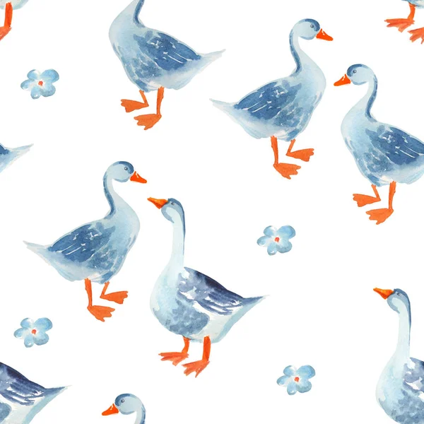 Poultry seamless pattern: Watercolor cartoon gooses isolated on