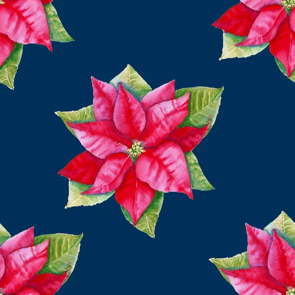 Bakgrund med julstjärna lämnar. Seamless mönster. Akvarell. — Stockfoto