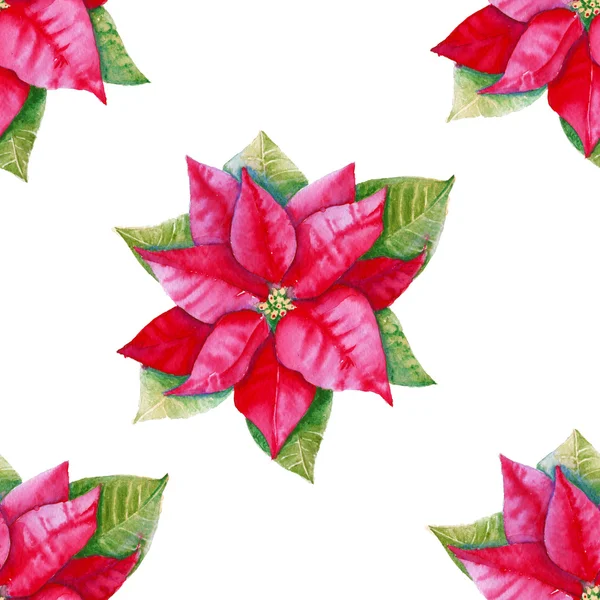 Bakgrund med julstjärna lämnar. Seamless mönster. Akvarell. — Stockfoto