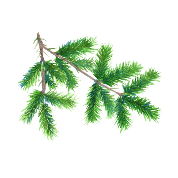 Christmas tree branch. Isolated on a white background. Watercolor illustration. — Stock Photo, Image