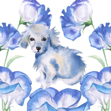 Beyaz köpek yavrusu. İzole edilmiş. Kartpostal tebrik. suluboya resim.