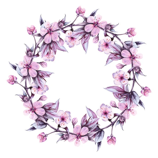 Zweig mit Kirschblüten. isoliert auf weißem Hintergrund. Aquarellillustration. — Stockfoto