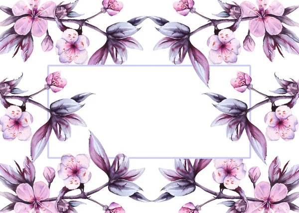Гілка з вишневими квітами. Ізольовані на білому тлі. акварельна ілюстрація . — стокове фото