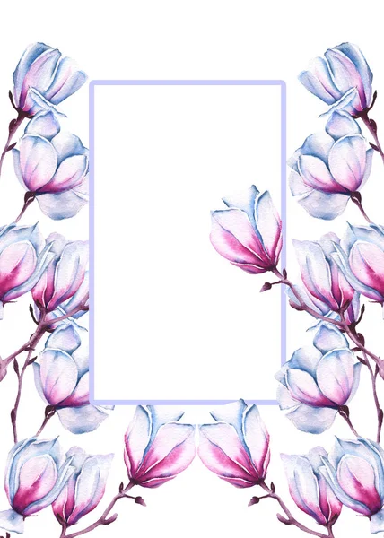 Oddział z magnolii. na białym tle. akwarela, ilustracja. — Zdjęcie stockowe