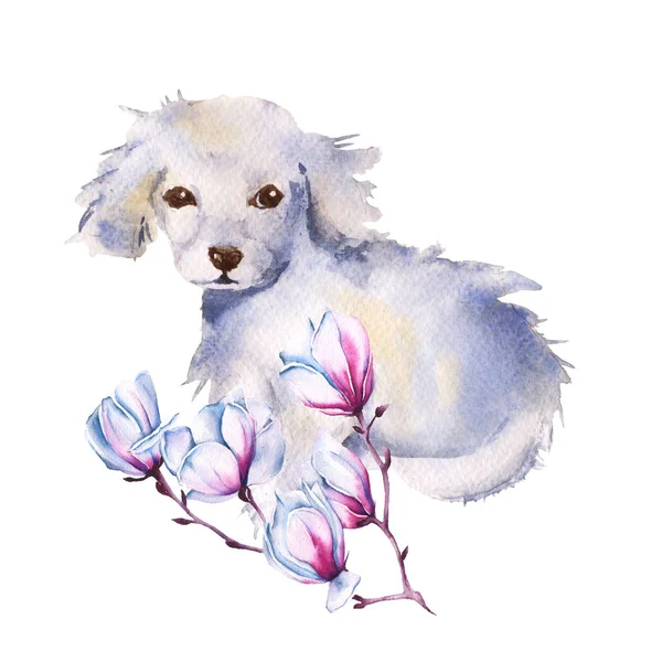 花を持つ白い犬。分離されました。水彩イラスト. — ストック写真
