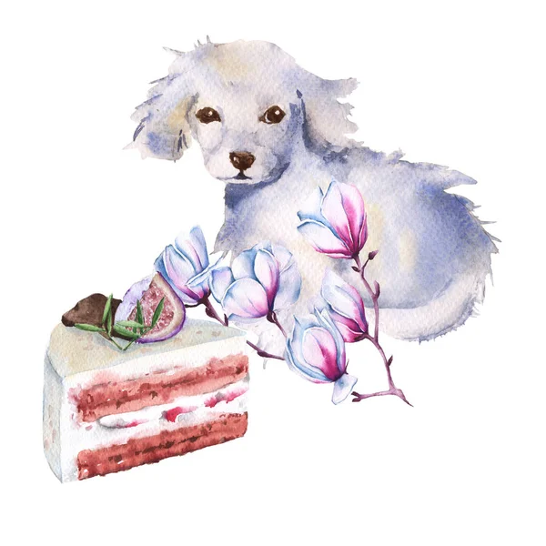 Biały pies z kwiat i kawałek ciasta. na białym tle. akwarela, ilustracja. — Zdjęcie stockowe