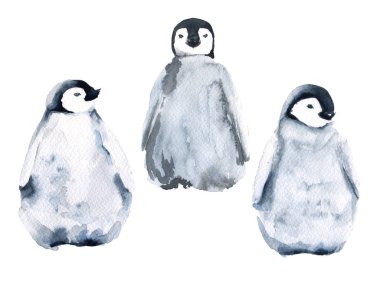 Üç küçük penguenler kümesi. Beyaz arka plan üzerinde izole. Suluboya resim.