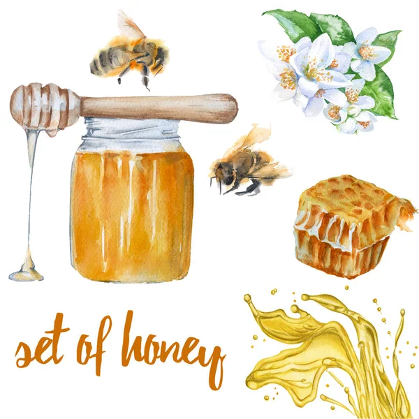 Honung set. Bank med honung, honeycomb, bee, blomma. — Stockfoto