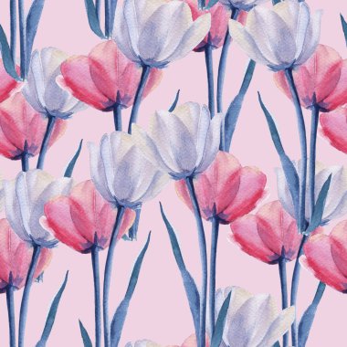 Arka plan Lale. Seamless modeli. Suluboya resim.