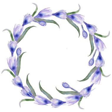 Çerçeve Iridaceae... Beyaz arka plan üzerinde izole.