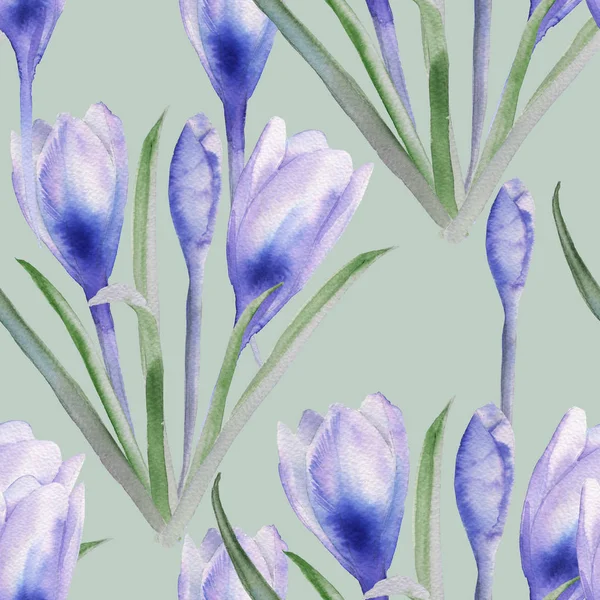 Contexte de crocus. Modèle sans couture pour un tissu . — Photo