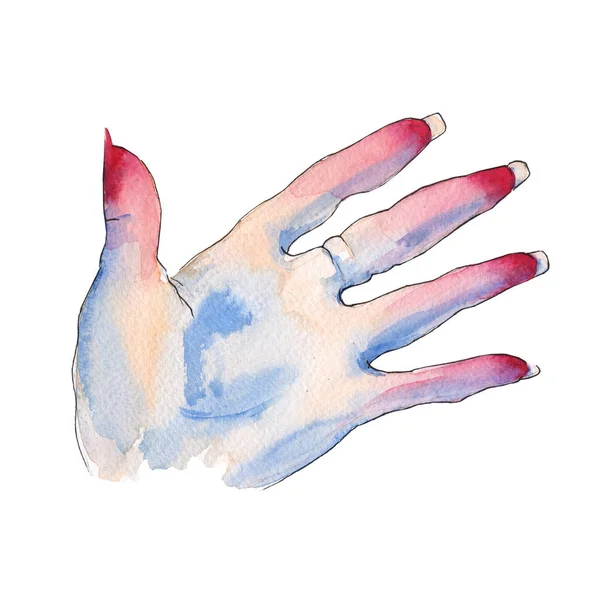Un geste avec les doigts. Une main de femme. Illustration aquarelle . — Photo