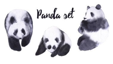 Panda ayıları ile ayarlayın. Beyaz arka plan üzerinde izole. 