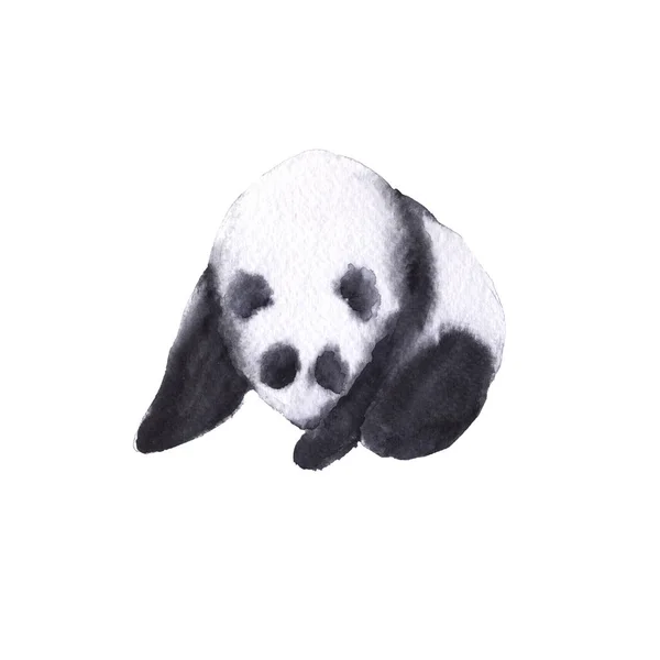 A panda medve. Elszigetelt fehér background. — Stock Fotó