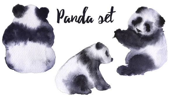 Állítsa be a panda medvék. Elszigetelt fehér background. — Stock Fotó