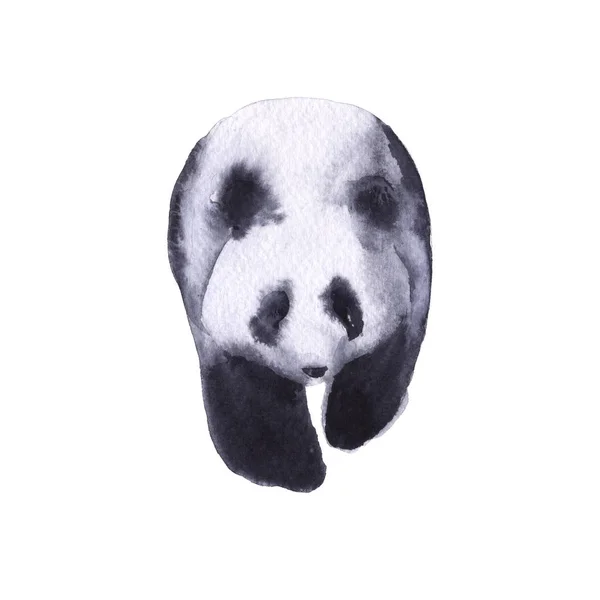 A panda medve. Elszigetelt fehér background. — Stock Fotó