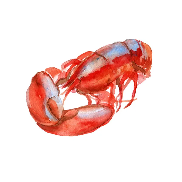 Lobster cooked. Isolated on white background. Watercolor illustration. — Stock Photo, Image