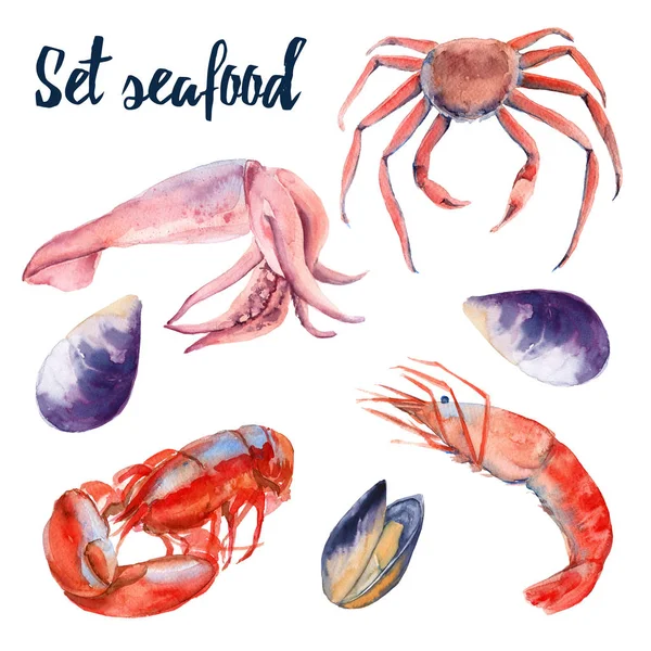 Set di frutti di mare. Granchio, gamberetti, aragosta, cozze e calamari. Isolato su sfondo bianco. Illustrazione ad acquerello . — Foto Stock