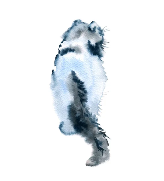 Η γάτα κάθεται με την πλάτη της. Γκρι και άσπρο χρώμα. γατάκι. Ακουαρέλα εικονογράφηση. — Φωτογραφία Αρχείου
