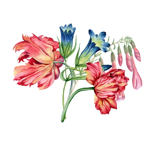 Blumenstrauß. batanische Aquarell-Illustration — Stockfoto