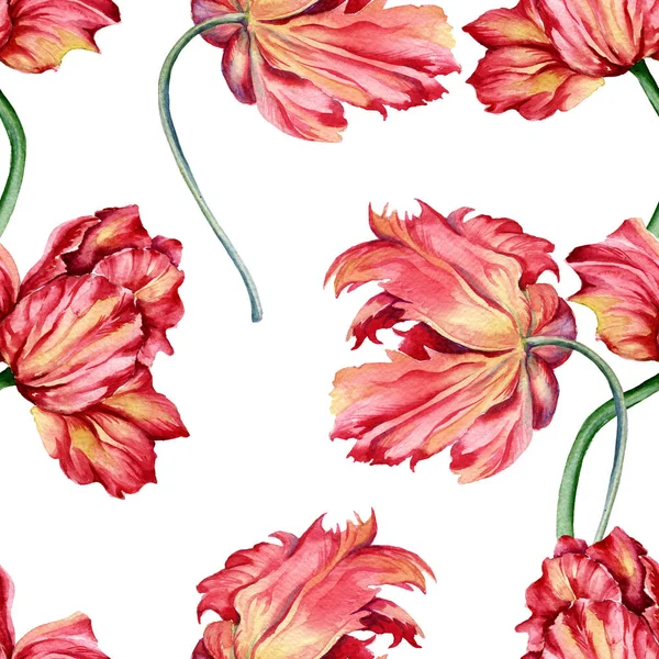 Fundo de uma flor secada de uma tulipa. Padrão sem costura . — Fotografia de Stock