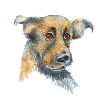 Retrato de un perro. aislado sobre fondo blanco. 