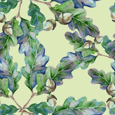 Arka plan bir meşe ağacının yaprakları ve bir meşe palamudu ile bir dalıdır. 