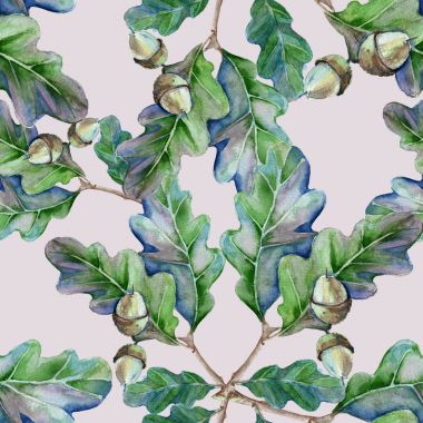 Arka plan bir meşe ağacının yaprakları ve bir meşe palamudu ile bir dalıdır. 