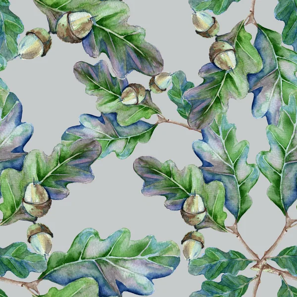 Arka plan bir meşe ağacının yaprakları ve bir meşe palamudu ile bir dalıdır. 