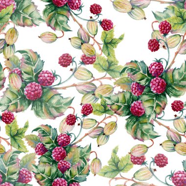 Arka plan çilek raspberriwatercolor şekil