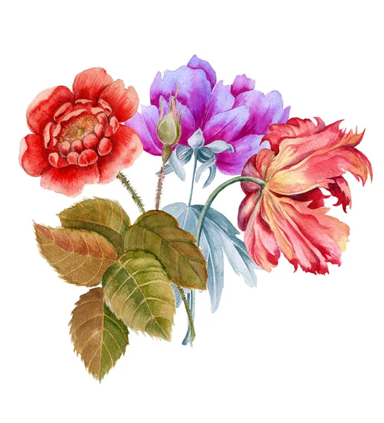 Boeket van bloemen. Batanic aquarel illustratie — Stockfoto