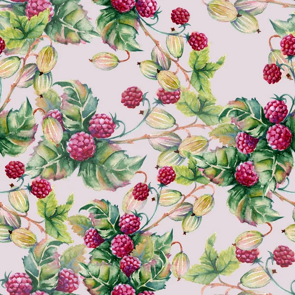 A bogyók raspberriwatercolor illusztráció háttér — Stock Fotó
