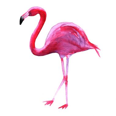 pembe flamingo. Beyaz arka plan üzerinde izole. 