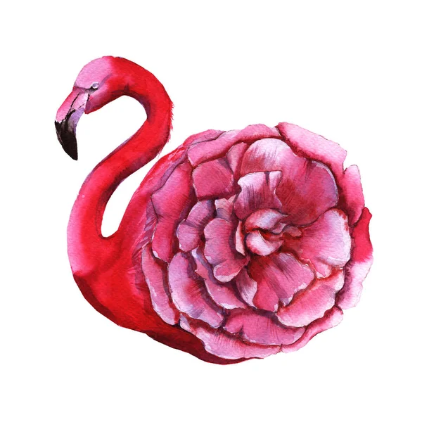 Rosafarbene Flamingoblume. isoliert auf weißem Hintergrund. — Stockfoto