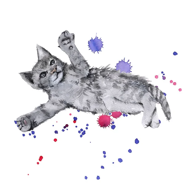 Šedé kotě ležící na hraní. Izolované na bílém pozadí. Akvarel, ilustrace. — Stock fotografie