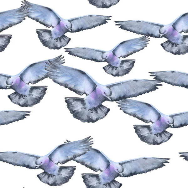 Летающие голуби. Бесшовный рисунок . — стоковое фото