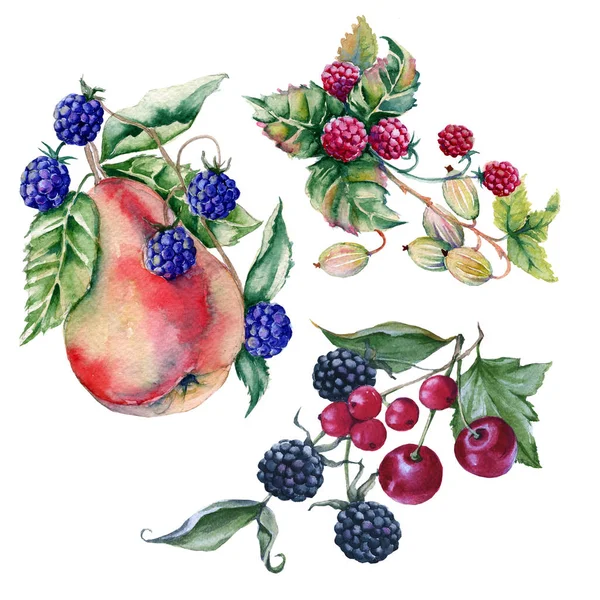 Třemi kytic a bobulového ovoce. Izolované na bílém pozadí. — Stock fotografie